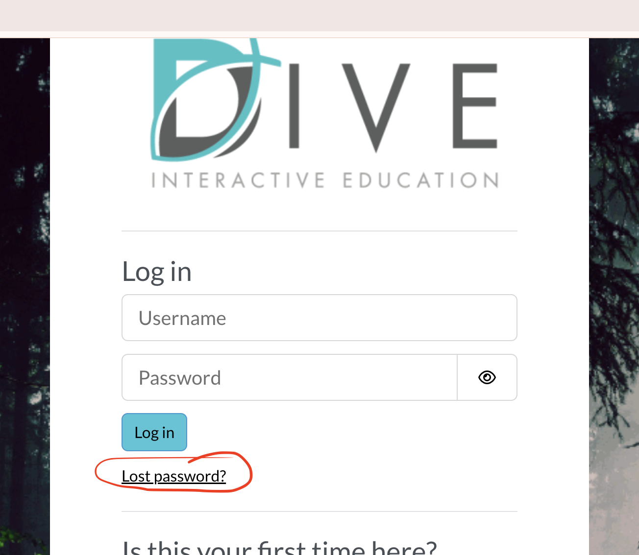 Lost Password.png