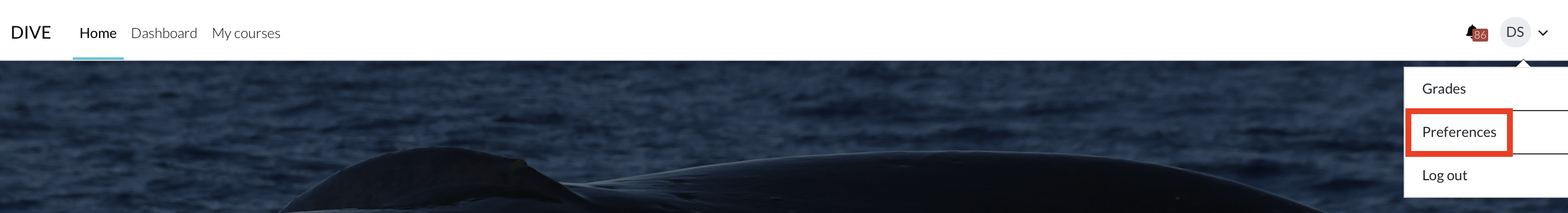 Screenshot 2026-01-28 at 1.49.11 AM.png